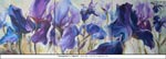 Among Irises-1, Triptych, Oil on Canvas